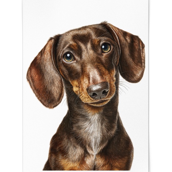 Watercolor Dachshund Dog Portrait Art Print – Unframed Fine Art Poster - Picture 2 of 5